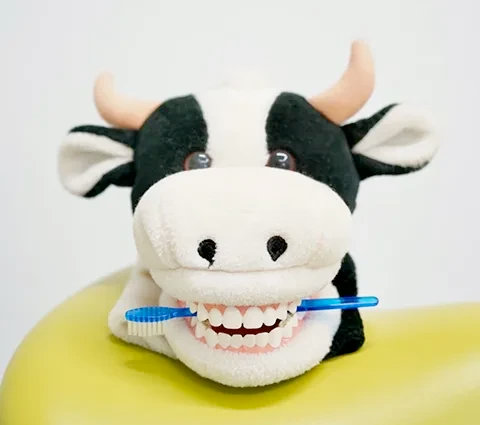 Team Zahnarztpraxis Dr. Hoting